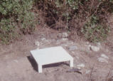 Pit trap with cover