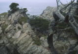 Point Lobos