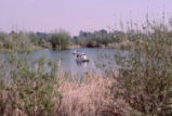 Boats on Bernard Field Station lake