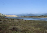 Morro Bay tidal flats