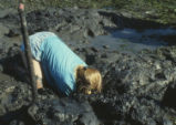 Digging for clams