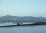 Morro Bay mud flats