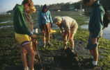 Digging for clams