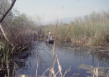 Boat sampling