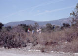 Students at the soil station