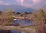 Students in boats