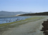 Morro Bay tidal flats