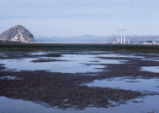 Morro Bay mud flats