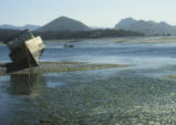 Morro Bay mud flats