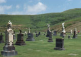Cayucos cemetary