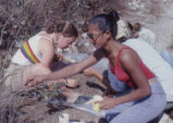 Lab III colleting soils