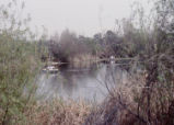 Boats on lake