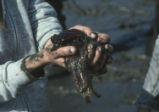 Student holding clam