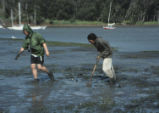 Students digging in mud