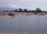 Bernard Field Station lake