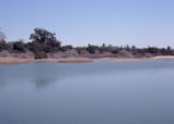 Bernard Field Station lake