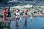 Students collecting specimen