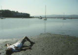 Morro Bay tidal flats