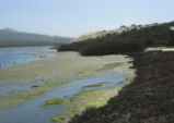 Morro Bay tidal flats