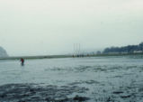 Morro Bay mud flats