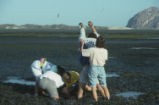 Digging for clams