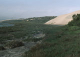 Sand dunes