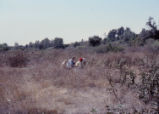 Students working on lab