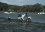 Students dig in mud near the shore