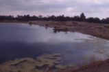 Bernard Field Station lake