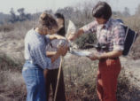 Lab IV- collecting insects