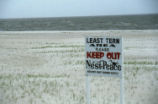 Least tern nesting area reserve