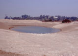 Bernard Field Station lake