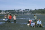 Digging for clams