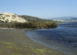 Morro Bay tidal flats