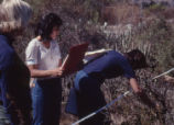 Students working