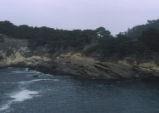 Point Lobos