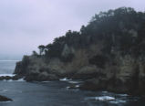 Point Lobos