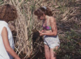Women and cattails