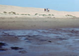 Morro Bay tidal flats