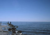 Students stand along rocky shore