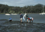 Students dig in mud