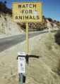 Watch for animals sign