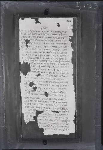 Codex I, papyrus page 133