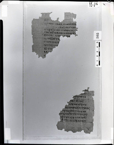 Codex IX papyrus page 36