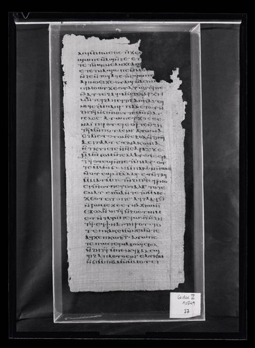 Codex VI, papyrus page 37