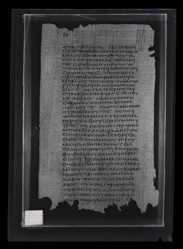 Codex VII, papyrus page 102