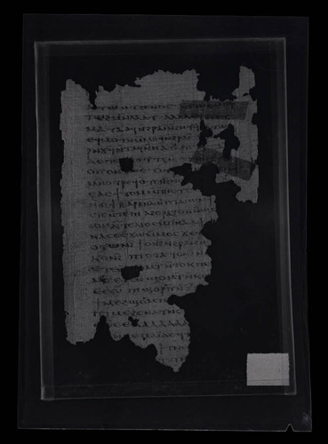 Codex VIII, papyrus page 118