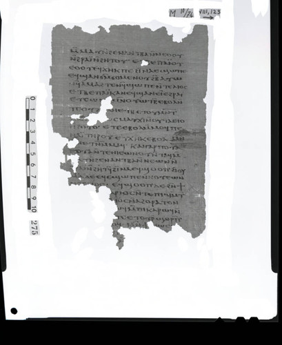 Codex VIII, papyrus page 123