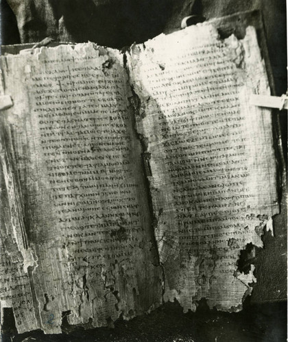 Codex V, opened at page 64-65