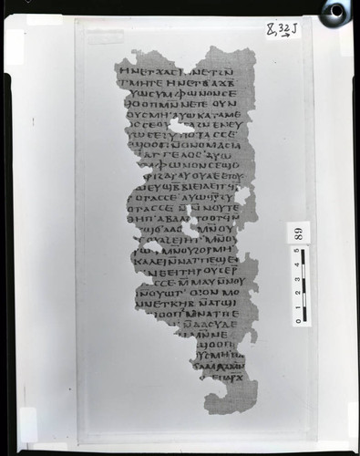 Codex X papyrus page 30